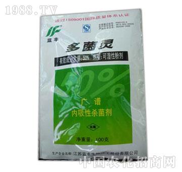 ��������`�������䲡���~�߲��ȏV�V������