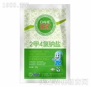 2��4���c�}-���t-�h(yu��n)Ҋ�r(n��ng)�I(y��)