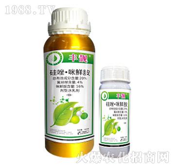 20%�������r��-�S�n-��Ѹ