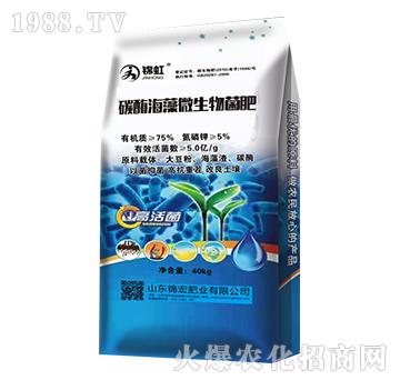 ̼ø����΢�������-�\��-�\��ʘI(y��)