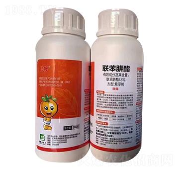 43%(li��n)������-�Ⱥ�-���