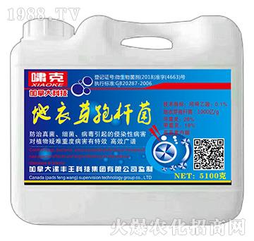 ����ѿ�ߗU��-�[��-���S��