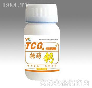 �Ǵ��}-���w�r�I(y��)