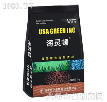 ����̼����̼���-���`�D-� �����