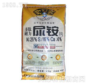 ���Ĵ������@�}-����