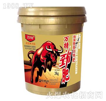 �����~(y��)�����ط�-�f(w��n)�؄ŷ�-�ٺ���(sh��)�I(y��)