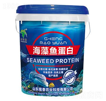 �����~����-ʢïԴ-¡̩�r�I(y��)