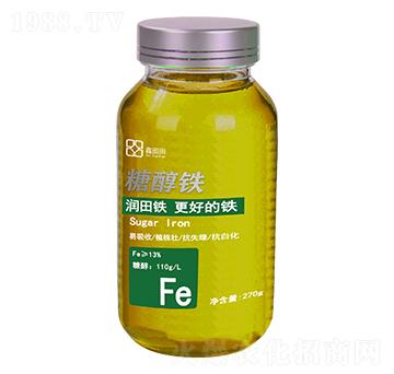 �Ǵ��F ������