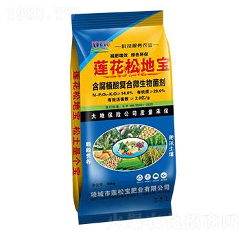 ����ֲ��ͺ�΢������� ɏ���ɵ،� ɏ�Ɍ��ʘI(y��)