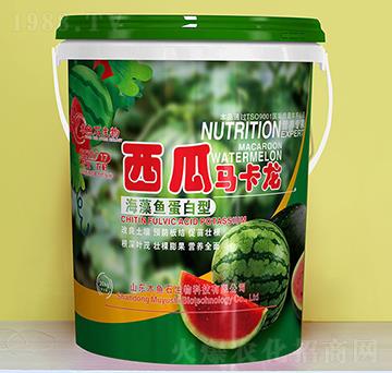 �����~(y��)������-�����R����-ľ�~(y��)ʯ����