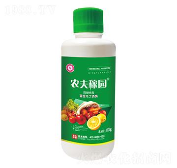 �@�����-�r��ڈ@