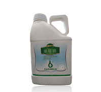 10%���@�-�G���r