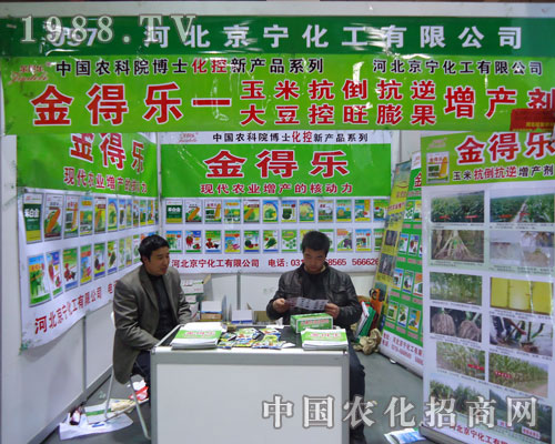 �ӱ���������-��Ø�(l��)