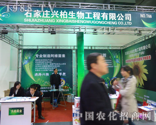 ʯ���f�d�������ںӱ�ʡֲ��������������