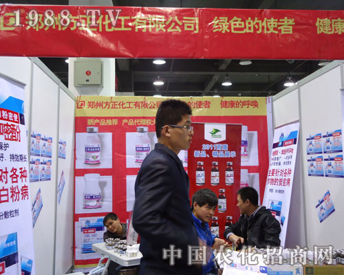 ���ݷ��������ںӱ�ʡֲ��������������