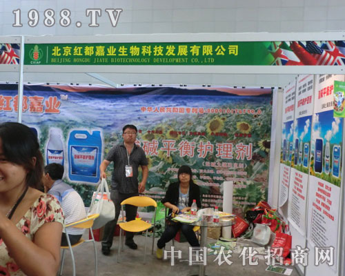 �����t���ΘI(y��)���½��r(n��ng)����(hu��)��չ�L(f��ng)��