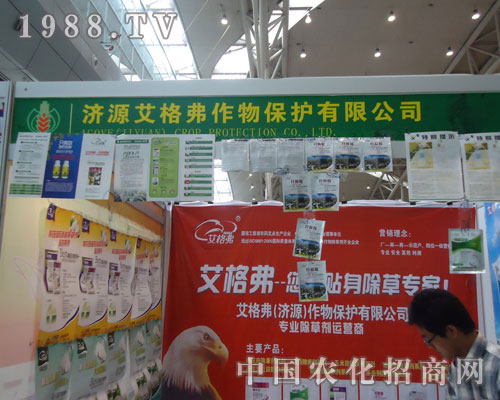 ���񸥡������N�����݌�����