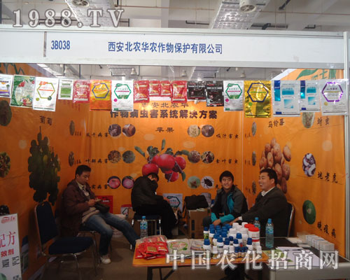 �߽��������r(n��ng)�A�r(n��ng) ����չ��ʢ�r