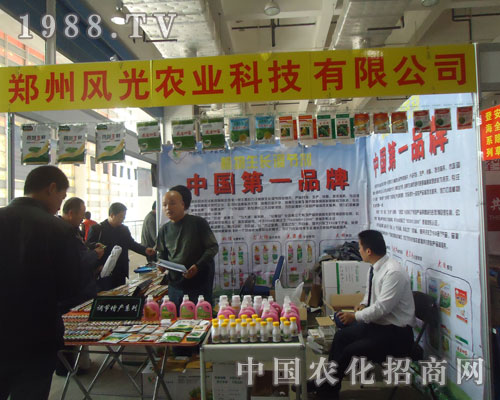 �挦(du��)2011ɽ�|ֲ����(hu��)�����L(f��ng)���r(n��ng)�I(y��)�M������