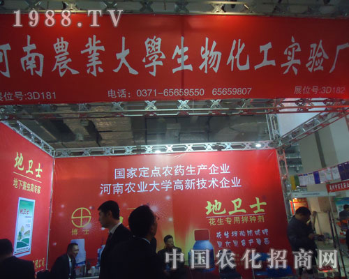 2011ɽ�|ֲ�����Ϻ����r������@�J��