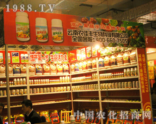 ɽ�|ֲ�����������r���S���̈����