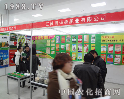 2011���R������K�W��?sh��)��A���ǈ�