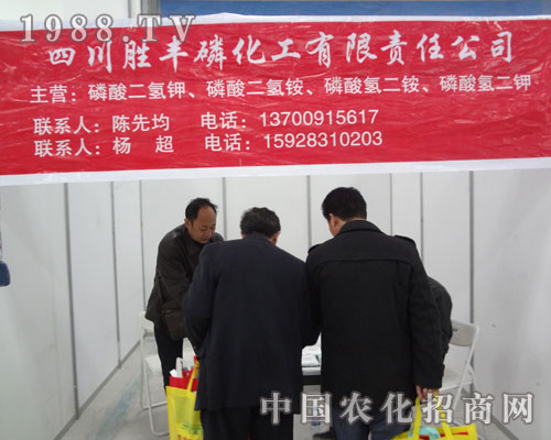 ���S�����������R���