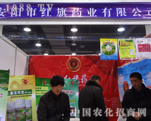 �ӱ�ʡ��24��ֲ����(hu��)�ϰ�ꖼt��ˎ�I(y��)���@�L(f��ng)��