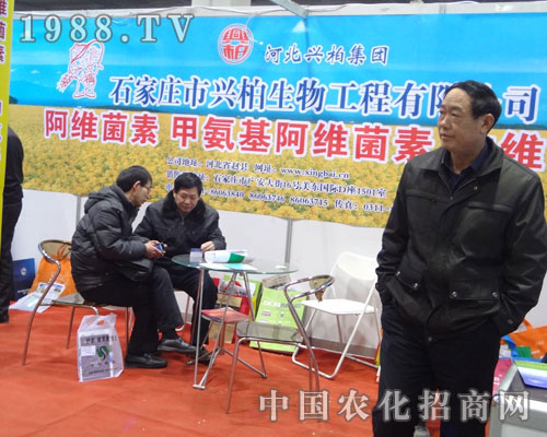 �ӱ��d�ؼ��F(tu��n)��չʯ���f�r(n��ng)ˎ������ϲ��