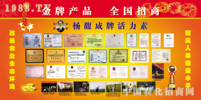 �����ֲ��I�B(y��ng)�����޹�˾�s�uչʾ