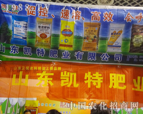 ɽ�|�P��׌2012��H���׏�(f��)�ʕ���M�˻���