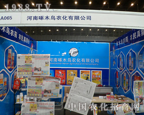 ��ľ�B��һֻ�����P���ڵ�28������ֲ��չ��