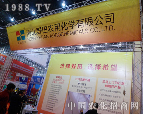 �x��Ұ�� �x��ϣ��