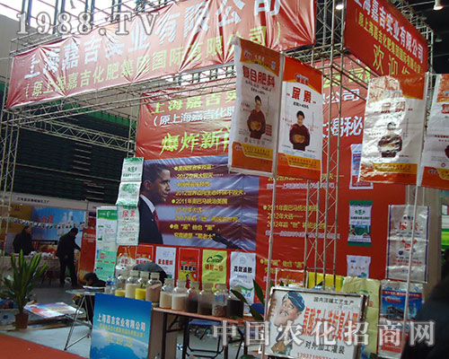 �Ϻ��μ���(sh��)�I(y��)ʢ�b���R��28������ֲ��չ