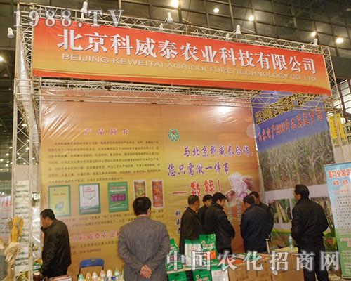 ��������̩�ڵ�28������ֲ���������c�l�l