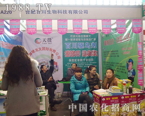 �Ϸʰٴ�����߳������չ��