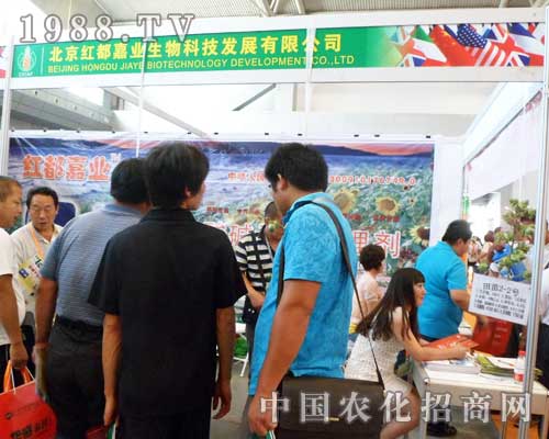 �����t���ΘI(y��)12���½��r(n��ng)����(hu��)��չλǰ���̲���