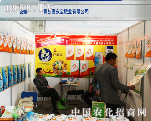 ϲ������Ŀ��|��������ʮ�ŌÝ���ֲ����