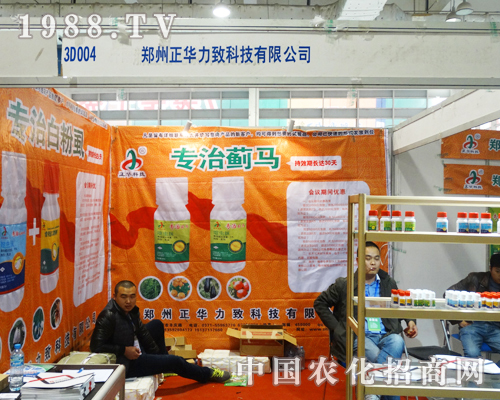 ���A������2013ɽ�|ֲ�����Ͼ���չ��