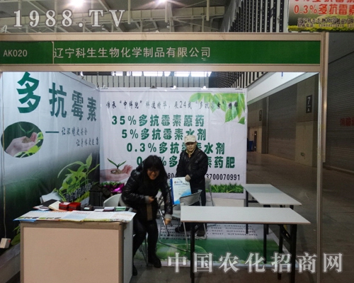 �ƾG�S������29��ȫ��(gu��)ֲ����(hu��)�г�M�������C(j��)