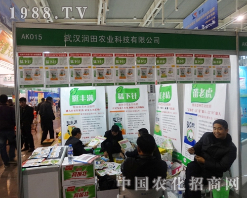 �����r(n��ng)�I(y��)��29���Ͼ�ȫ��ֲ�����c�����\�l(f��)չ