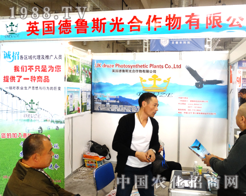 ����˹�������ݼ���2014ɽ�|ֲ��������������