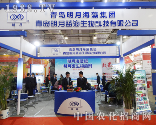 ���u���º��弯�F��ɽ�|ֲ����Ŭ���^��(zh��n)