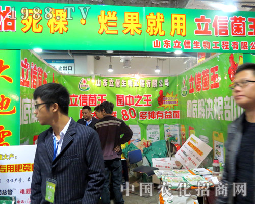 ������2015��ɽ�|ֲ��������