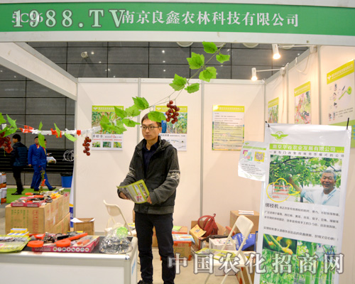 �Ͼ������Ԅ�(chu��ng)��վ��(w��n)�Ϸ�ֲ����(hu��)��