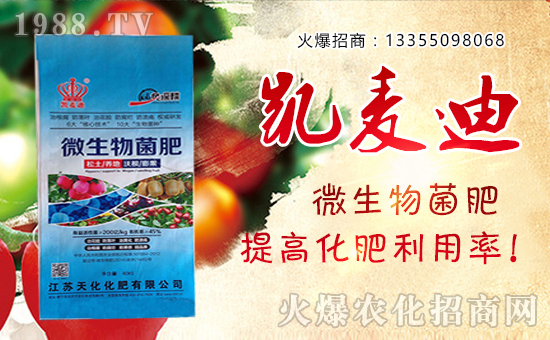 �ſ�������2016�V���ό��r�Y���[���õ���ه