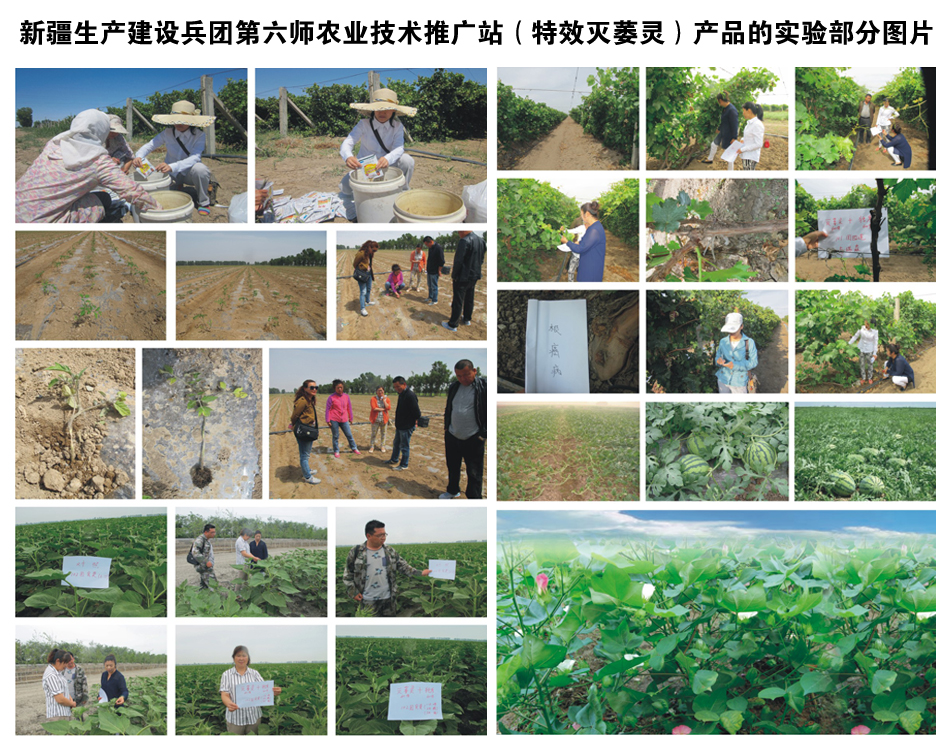 �½����a(ch��n)���O(sh��)���F(tu��n)�������r(n��ng)�I(y��)���g(sh��)�ƏVվ���a(ch��n)Ʒ�Č�򞲿�ֈDƬ