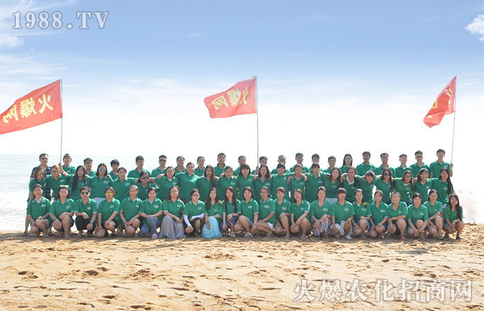 �泯�������w��