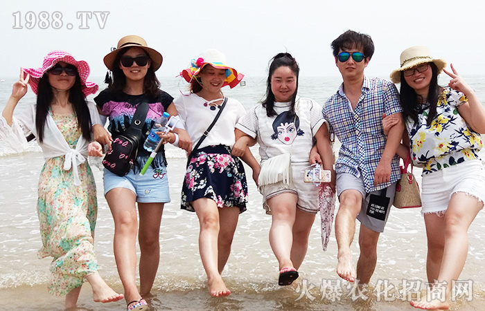 �泯�󺣣����w��