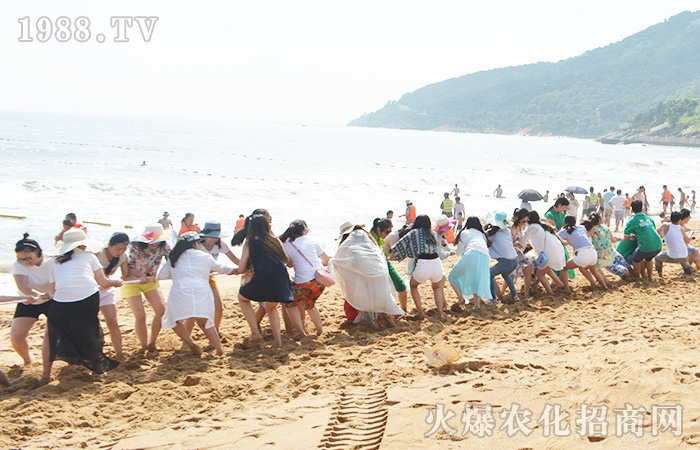 �泯�������w��